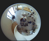 Kamera IP Reolink Fisheye FE-W 6MP 360° WiFi