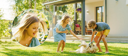 Kamera IP Hilook by Hikvision 6MP PTZ-N6-P Opakowanie zbiorcze 10szt.