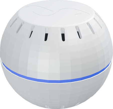 Shelly Wave H&T (2025)