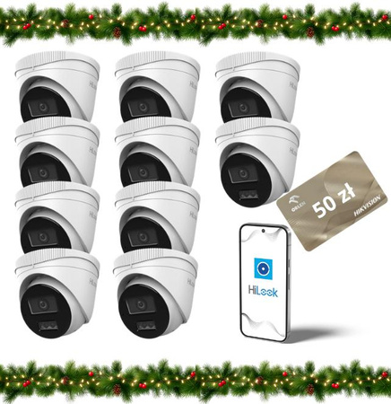 Kamera IP Hilook by Hikvision kopułka 4MP IPCAM-T4-30DL Opakowanie zbiorcze 10szt.