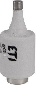 DII/GF 10A 500V (BIWTS)WKŁ.TOPIKOWA SZY