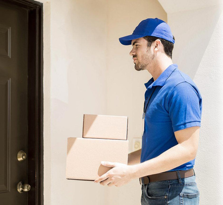 Kamera IP Reolink GO Series G330 camuflage z panelem solarnym