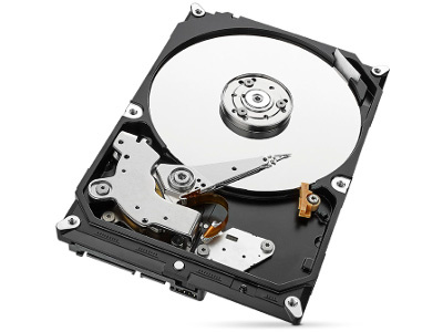 DYSK SEAGATE IronWolf ST1000VN008 1TB