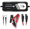 Ładowarka prostownik do akumulatorów 12V/24V everActive 29.4V/10A CBC-10