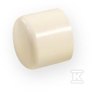 ZAŚLEPKA KW 1/2" PVC-C