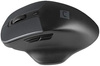 Mysz komputerowa Natec Blackbird 2
