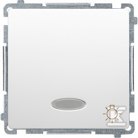 PRZ.ŚWIATŁO PODŚW. BMS1L.01/11+RAM.BI