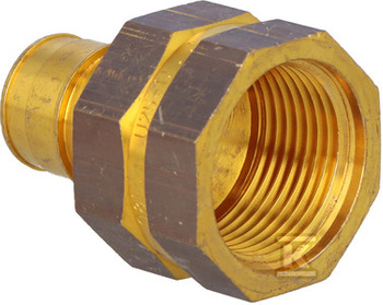 Q&E ZŁĄCZKA Z GWINTEM WEWN.PL 25-RP1"F