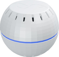 Shelly wave h&t (2025)