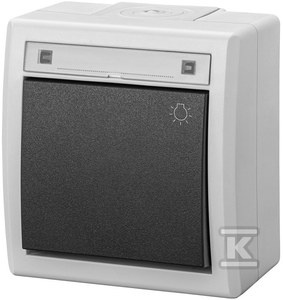 ŁĄCZ.ZW.ŚWIATŁO N/T IP55 SZARY AQUAN