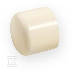 ZAŚLEPKA KW 3/4" PVC-C