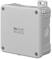 PUSZ.N/T IP55/65 WKŁ/DŁAW.98X98X46 SZA